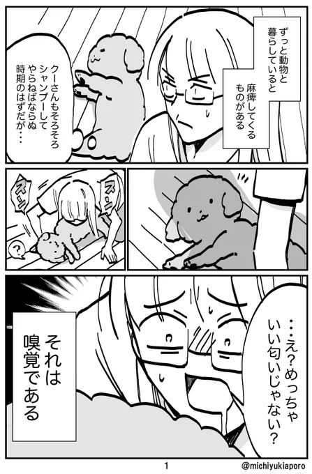 動物と暮らしている人間は、愛ゆえに嗅覚が麻痺する説。 