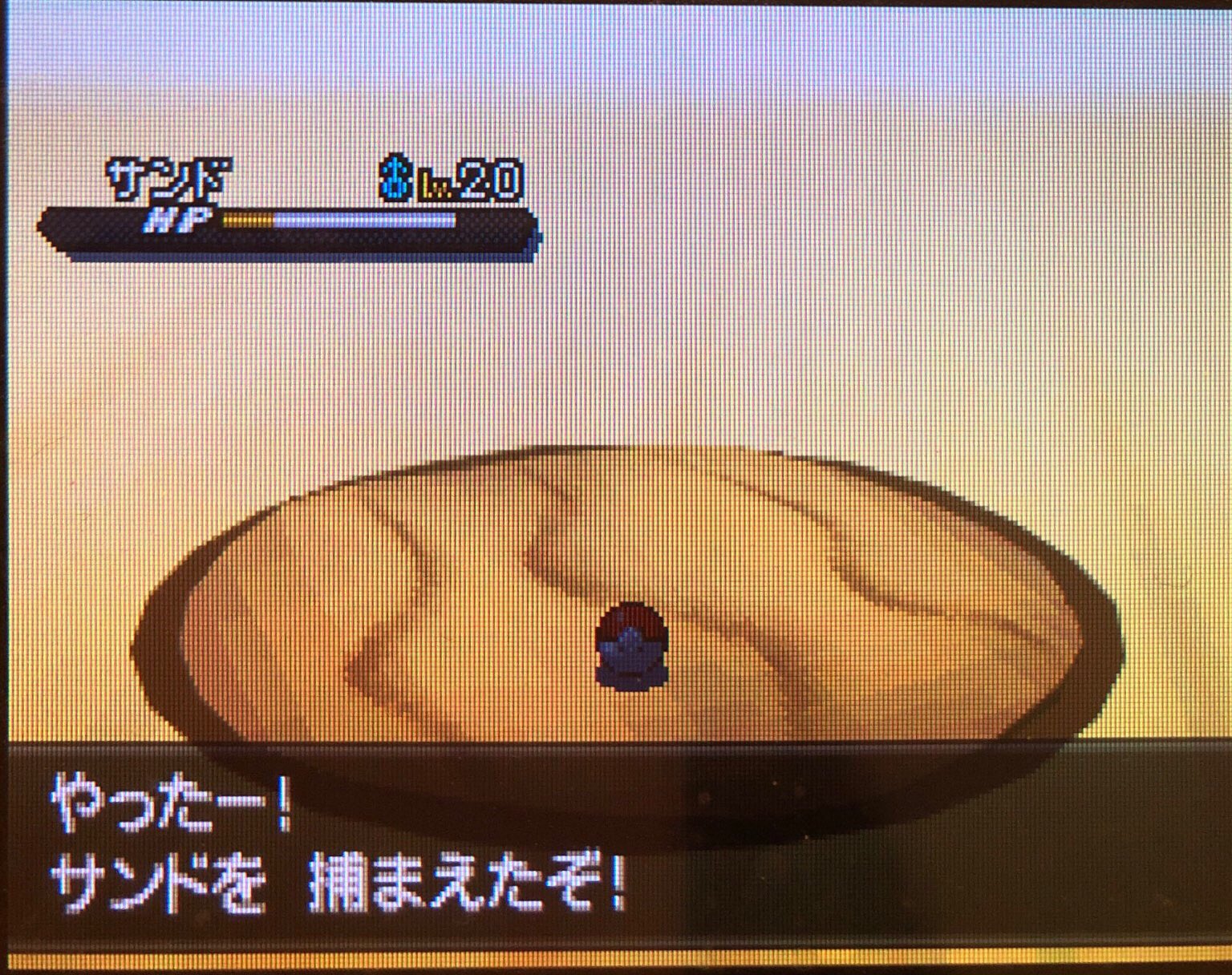 9 ライモンジム制覇 ホドモエシティへ その1 ピクミン マリオ ドラクエ Ff ポケモン日記