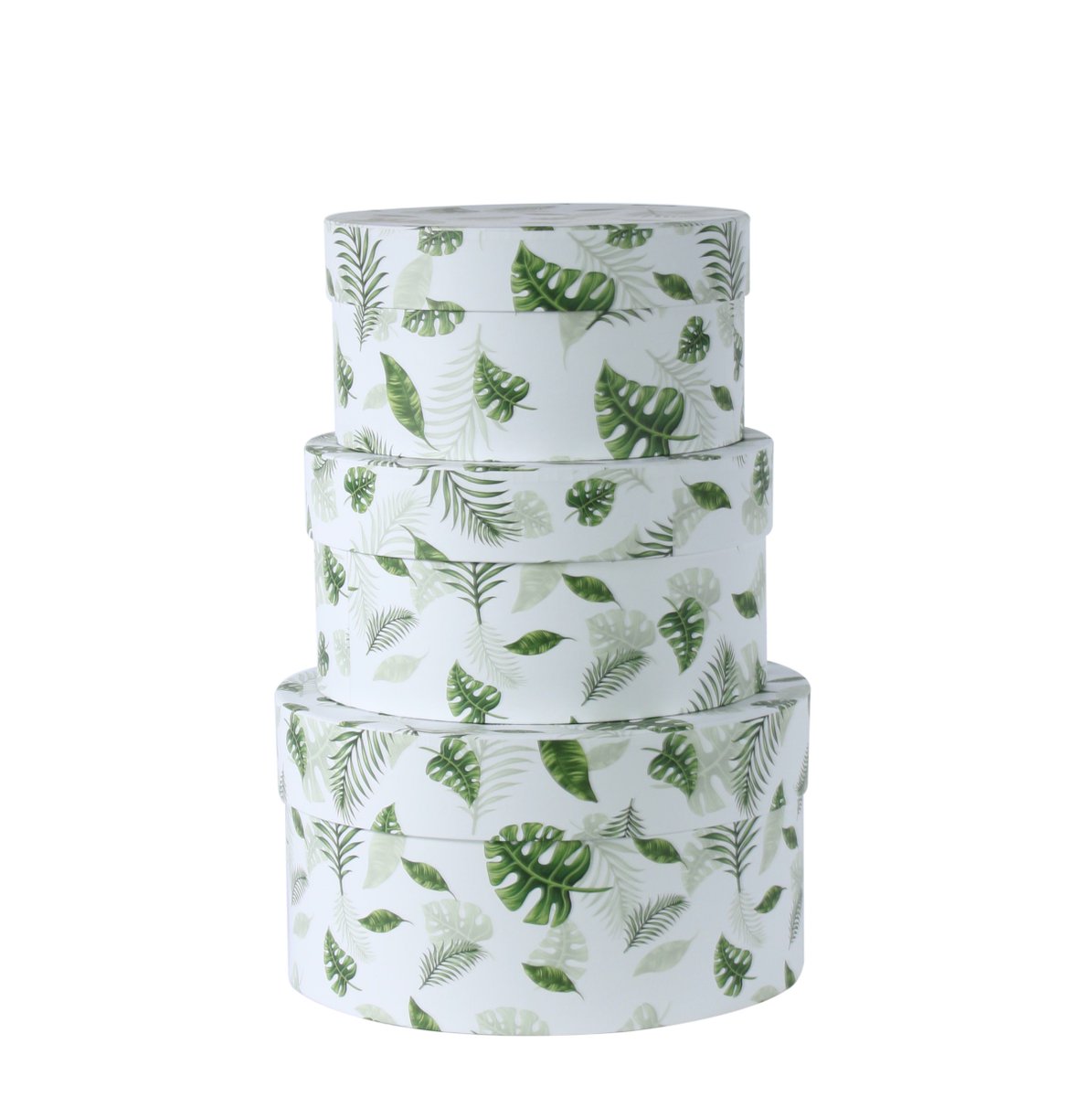 WhittingtonsBiz's tweet photo. We love the foliage design on these new range of hatboxes, and they would look beautiful filled with a botanical arrangement of yellow, green and white flowers or plants 🌿
👉 From £5.50 + vat (per set)
#MothersDay #HatBoxes #Florist #FloralSupplies https://t.co/O2GdCRzqgC