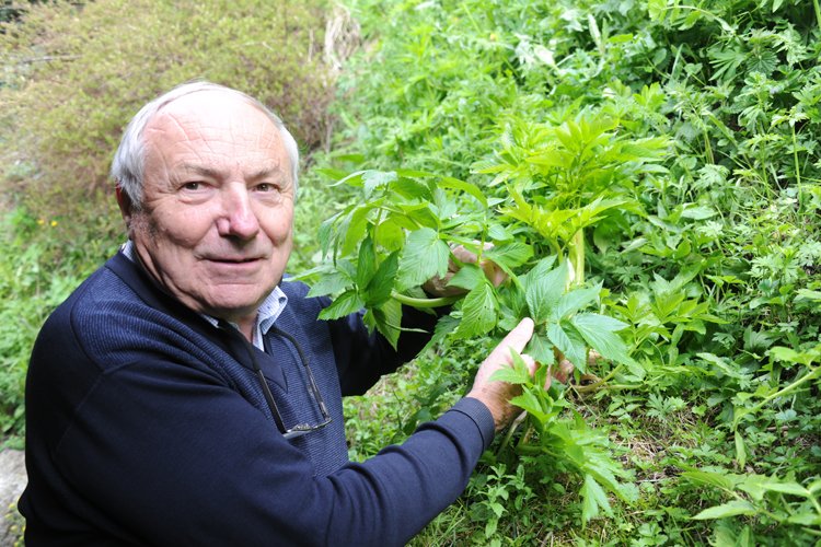ScienceValais's tweet photo. L' @EspaceC_Sion organise le 12.03 à 12h15 une conférence sur "Le potentiel thérapeutique des plantes alpines" -> https://t.co/H1C7hbsKjY
#sciencevalais #science #valais #wissenschaftwallis #wissenschaft #wallis #conférence https://t.co/BBzcjfGw8n