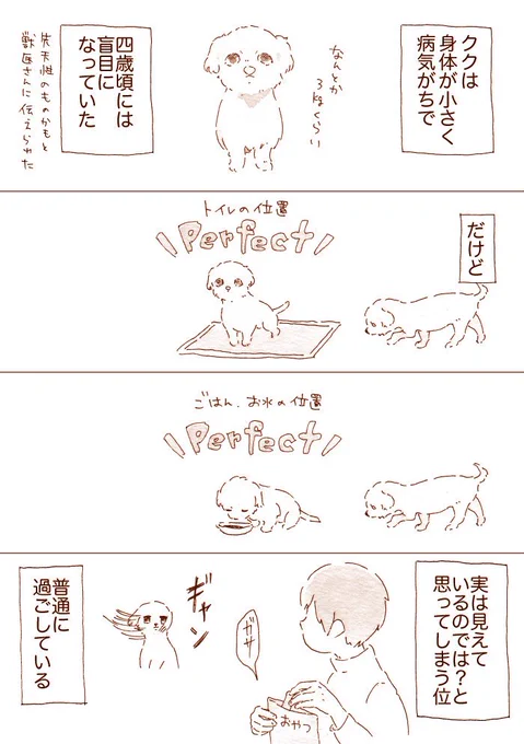 愛犬ミルとククのことを描きました③

ミル(ミニチュアダックスフンド) 
クク(マルチーズ) 