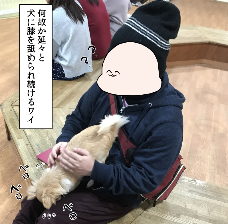 犬ふれあいコーナーと犬 