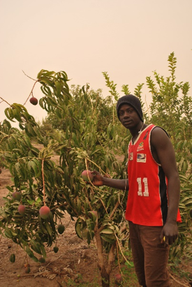 SOS_SAHEL_'s tweet photo. @SOS_SAHEL_ a participé à la conférence #BeatingFamine – Vaincre la faim à Bamako du 26 au 28 février. A cette occasion 3 initiatives de développement inclusif ont été présentées : #karité #agroforesterie #gommearabique #succes 
Pour en savoir plus : https://t.co/ybyYIBIpD1 https://t.co/NObQo7kEe4