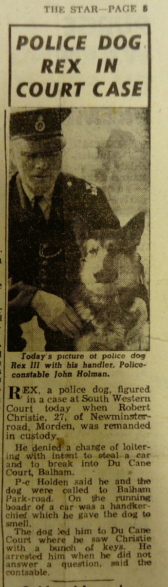 Already missing #Crufts? #OnThisDay in 1949 was born Rex III, star of page and screen. #goodboy #policedogsoftwitter #70yearsruff #dogsinmuseums