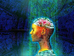 Bebeklerin farklı ay dönemleri baz almak suretiyle onlar için zeka testi gerçekleştirilir. Bu daha çok onların zihinsel yeteneklerini ölçmek için yapılan bir testtir.  Devamı => mavimenekse.com/genel-kultur/2…  #zekatesti #kadinblogu #görselzeka #işitselzeka