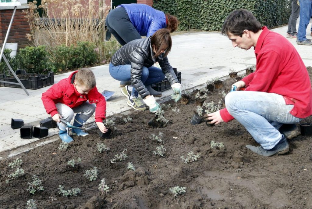 dordtcentraal's tweet photo. Nieuw groen op Bankastraat https://t.co/R8RMF2yf8B https://t.co/behn4gd6uG