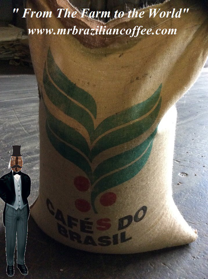 Coffeexport1's tweet photo. Stock di Caffè Brasiliano in magazzino a Napoli 🇧🇷🇮🇹🔖🏢
🇧🇷🌍Brazilian Coffee to export
Stock In Napoli /Italy Warehouse: prompt delivery!!
#green #riominas #santos #mogiana #southminas #goodcup #finecup
-Website:
https://t.co/kxA2R4r8Fi
Email: tadeu@mrbrailianoffee.com https://t.co/YzLJcx9uaU