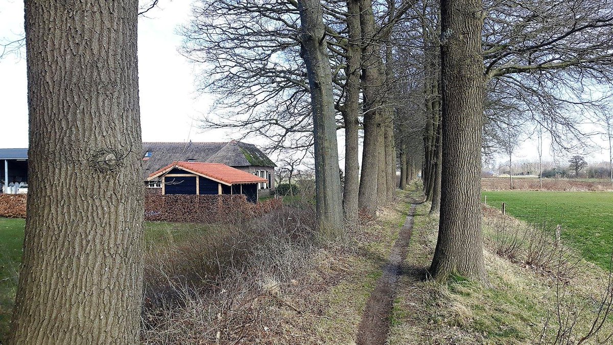 MooisteRoutes's tweet photo. Old Heinopad (Heino - Overijssel) https://t.co/caApmfHPM7
Vanaf het begin van de wandeling loopt u al snel het weinig bezochte landgoed De Gunne in.
Het is genieten in dit rustige gebied.
Na De Gunne ...
#Heino #Gunne #Colckhof #wandelen #natuur #walking #nature #Overijssel https://t.co/Z5nEN9YyQG