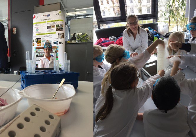 ROBOX_Enzymes's tweet photo. #Pharma #Biocatalysis #H2020 #EUresearch

On March 7, schoolkids aged 5-6 from the Nanoversity kindergarden visited our partner @acibGmbH to experience #biotechnology and learn more hands on about growing microbes and what they look like under the microscope. https://t.co/cGICaynig9