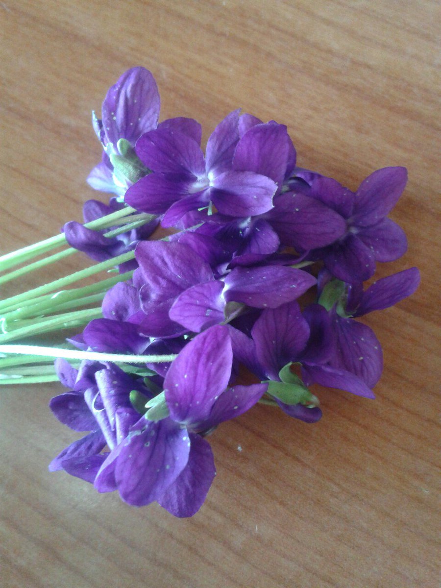 samantacellucc2's tweet photo. Buongiorno*** https://t.co/HSmdORWhk7