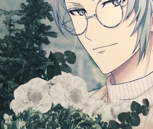 赤猫 Al Twitter アネモネかと思ったけどちょっと違う 花言葉もいい感じなのになぁ 赤と黒の花言葉は割と怖いけど白だと前向きなのでアイドリッシュセブンぽいと思ったで T Co Yvy5iuvunp Twitter