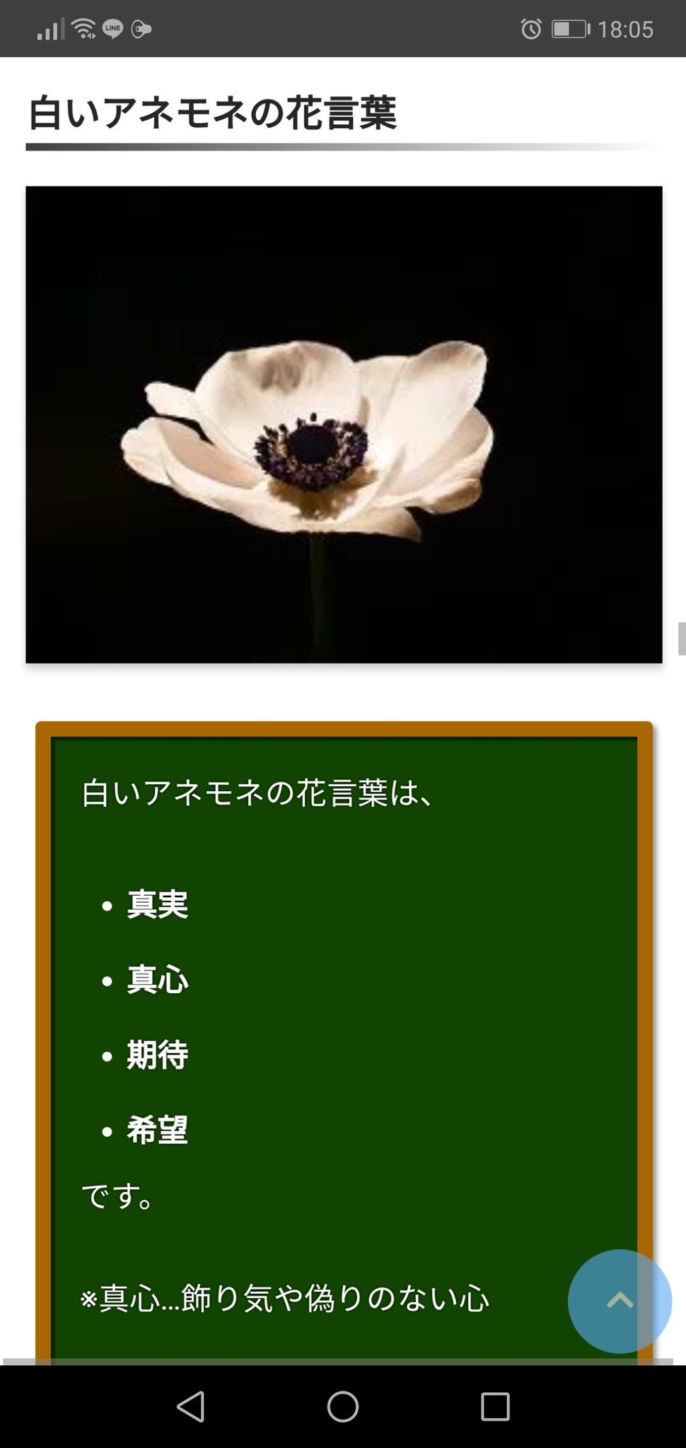 تويتر 赤猫 على تويتر アネモネかと思ったけどちょっと違う 花言葉もいい感じなのになぁ 赤と黒の花言葉は割と怖いけど白だと前向きなのでアイドリッシュセブンぽいと思ったで T Co Yvy5iuvunp