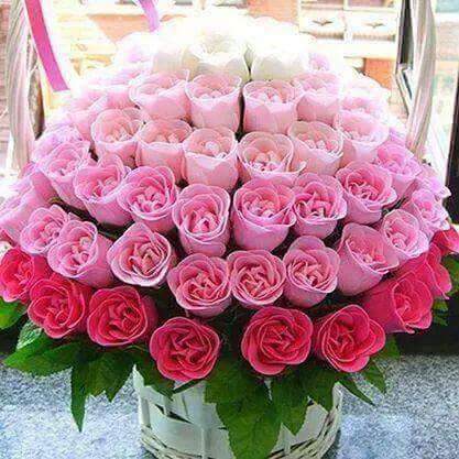 gulmuhammad195's tweet photo. @samantacellucc2 https://t.co/JAFNRQyJ57