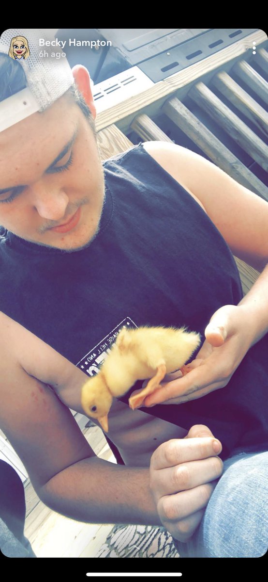 Bechampton41's tweet photo. Logan Reed brought his sister a sweet baby duck! She named her Pearl ❤️🐥 https://t.co/TChq8soTPN