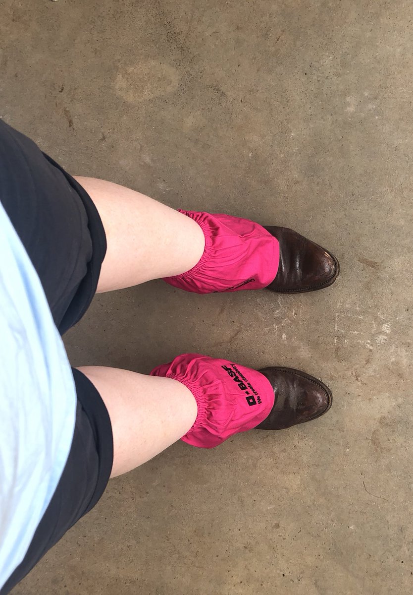 BindiTurner's tweet photo. This #spreadsheetfarmer had a chance to break out the #GRDCupdates @BASF_Agro_Au cuffs over the weekend... #notmybestangle (I know the hot pink is a hit with girls and guys!) https://t.co/OhYP0agOxQ