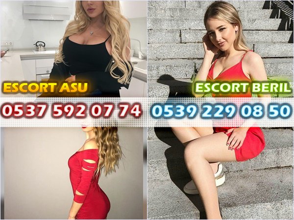 3366 Şimdiye kadar insanoglu dogayla mucadele etti bunan sonra ise kendi dogasıyla mucadele edecek Dennis Gabor #artvinêſčòrț