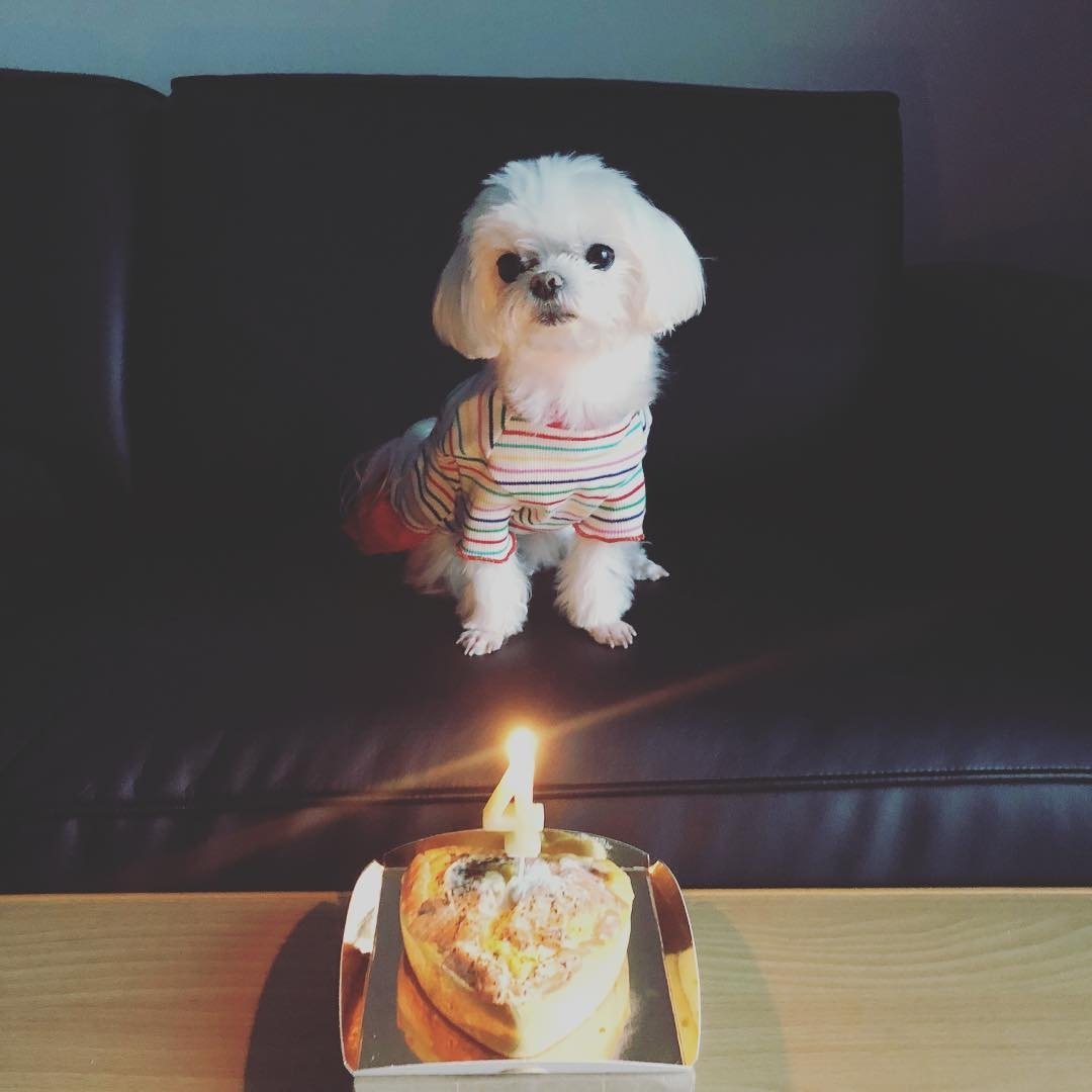 D1XoODTU4AAy_4R.jpg:orig