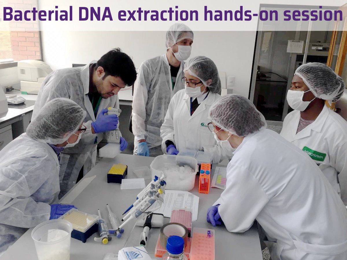 GHRUamr's tweet photo. Very productive 2 weeks of joint working between the @TheCGPS &amp; @ghruamrcol teams at @SomosAGROSAVIA , Colombia towards implementation of genomic AMR surveillance. All 3 streams (bioinformatics, finance + lab) working collaboratively to achieve @OfficialNIHR funded project goals. https://t.co/x1jY0i78Mq