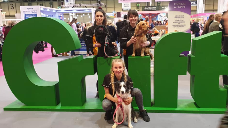 OfficeRightBiz's tweet photo. Congratulations to the team at Saxon Agility who competed at Crufts this weekend. Proud to have been able to sponsor a local organisation. Well done Saxon Agility from all at Officeright business solutions. https://t.co/F6MwksSbpI