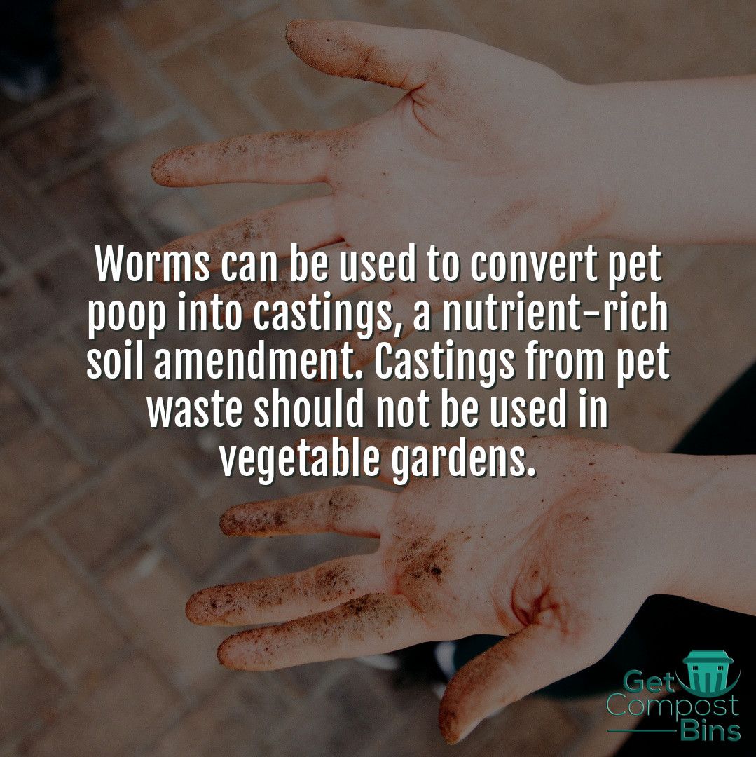GetBins's tweet photo. Worms can be used to convert pet poop into castings, a nutrient-rich soil amendment. Castings from pet waste should not be used in vegetable gardens. #compost #composting #gardening #organic #zerowaste #recycle #vegetablegarden #raisedbeds #garden #soil #environment https://t.co/t6d3jREUNp