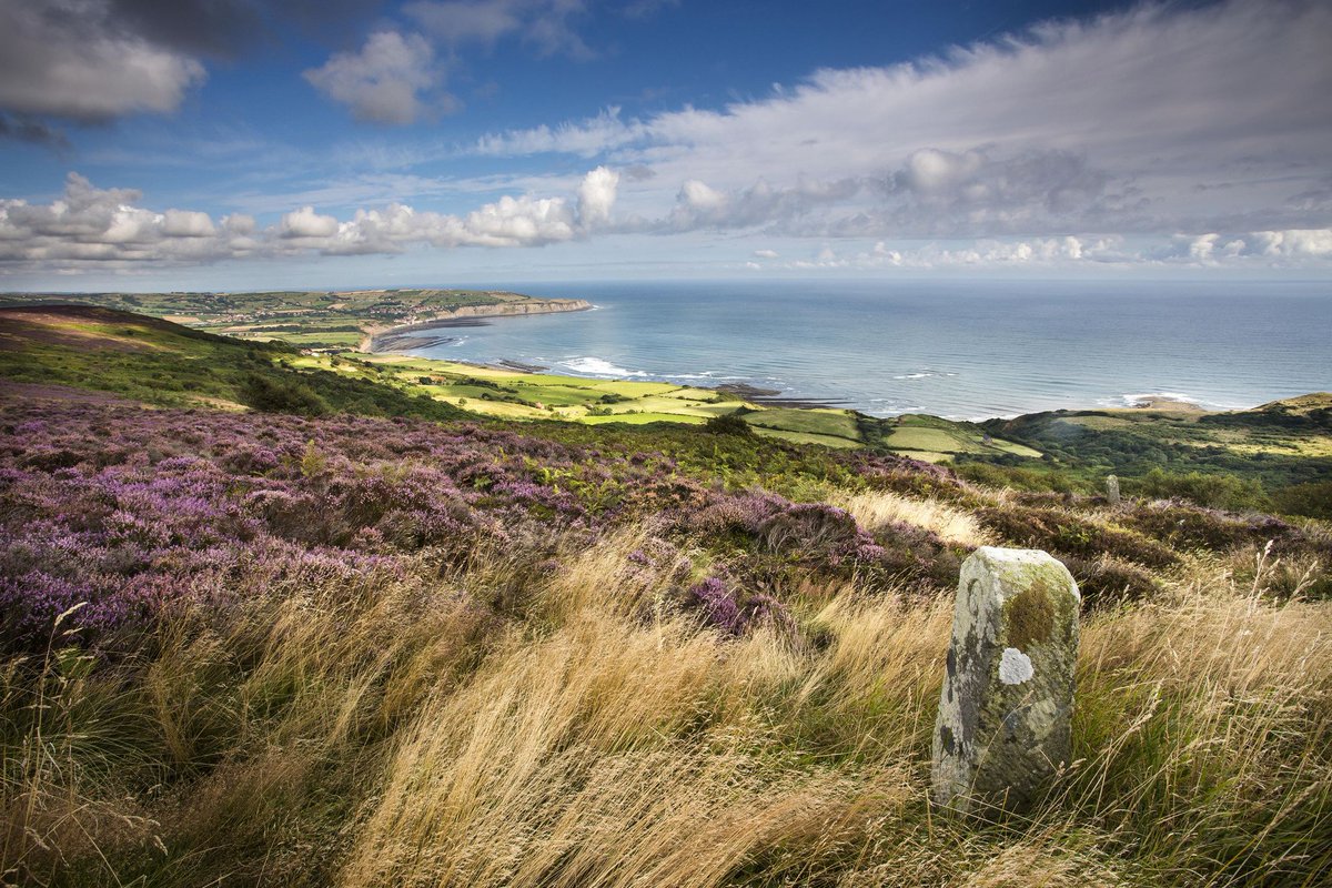 NorthYorkMoors's tweet image. We did it! We won BBC @CountryfileMag National Park of the Year! Thank you so much to those who voted. We're thrilled to have bagged the prize and will be celebrating all year round! 🏆🎖️

(c) Mike Kipling