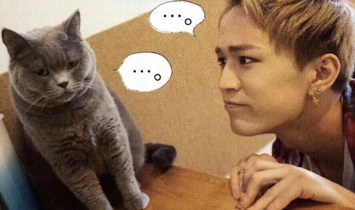 hmdasuka's tweet photo. ジャニーズWESTと〇〇シリーズ

💚神山智洋 × 小動物💚 https://t.co/X49hsWrm74