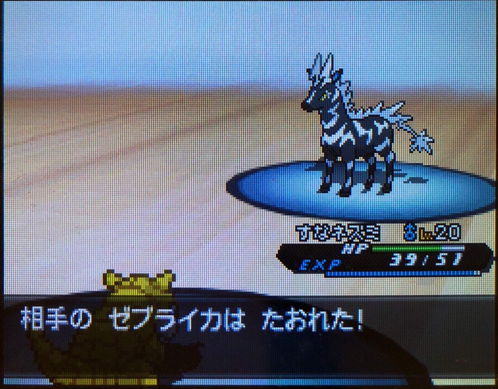 9 ライモンジム制覇 ホドモエシティへ その1 ピクミン マリオ ドラクエ Ff ポケモン日記