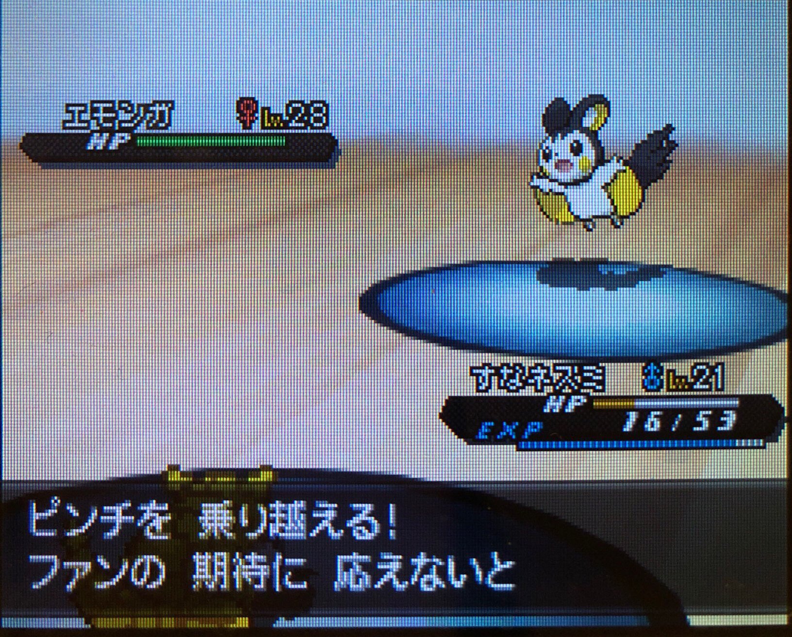 9 ライモンジム制覇 ホドモエシティへ その1 ピクミン マリオ ドラクエ Ff ポケモン日記