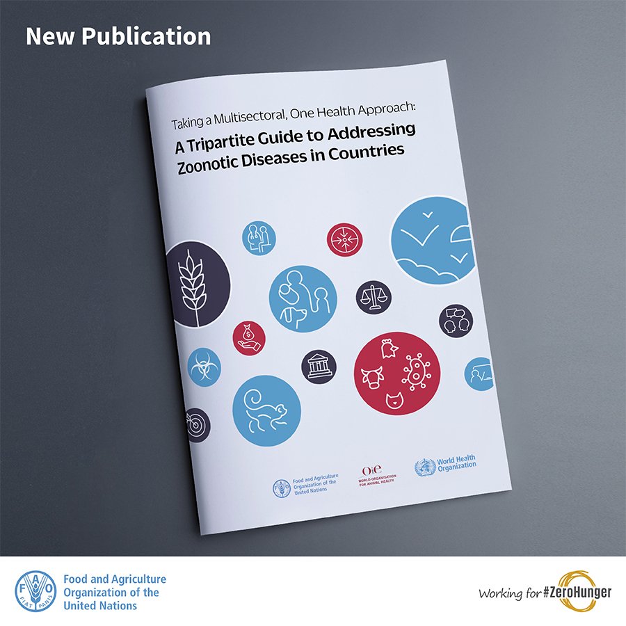 FAO Livestock tweet media