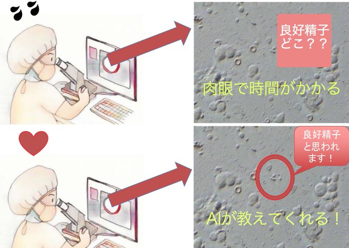 精子のtwitterイラスト検索結果 古い順 精子のtwitterイラスト検索結果 古い順