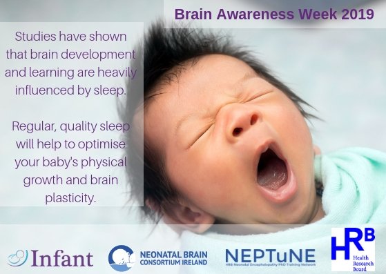 It's Brain Awareness Week! We'll be posting some baby brain facts all week to mark this national campaign to increase public awareness & understanding of the brain and the benefits of brain research! #loveyourbrain2019 #BrainAwarenessWeek2019 #everybabycounts #UCCNews