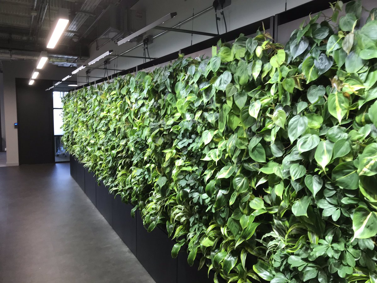 bheinric's tweet image. Great opening of #Bosch @ConnectoryLDN. Talking about #coinnovation, #knowwhy and #realtimeAI.