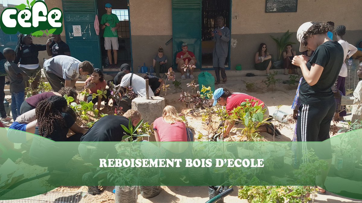 Education et Formation Environnementales tweet media