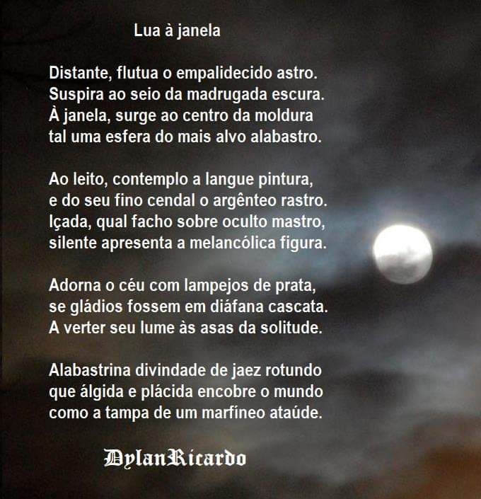 DylanRicardo's tweet photo. https://t.co/pXHN5oRsD7