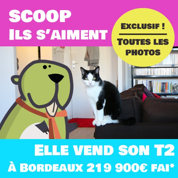 bientotchezsoi's tweet photo. @vlecamus @a02halo Bon alors, question chat... il va nous être difficile de vous jeter la pierre ! Nous n'avons pas vraiment hésité à utiliser le chat d'une cliente pour vendre son appart' Diffusion sur facebook & sur notre newsletter pour la st valentin... le taux de clic était au rdv #catfactor https://t.co/1Y4pDVtemJ