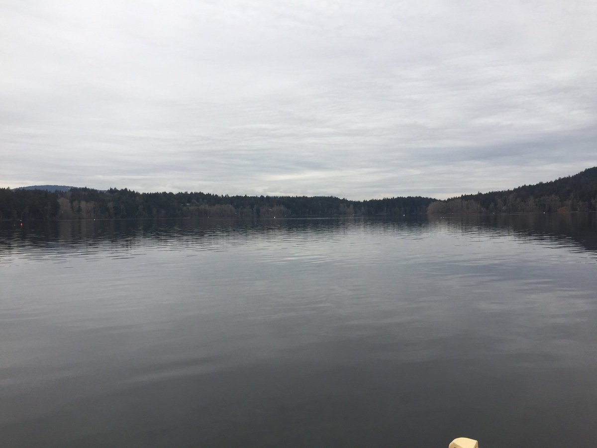 Barney Williams (@barneyrows) on Twitter photo Elk Lake March 11th 2019
One of the best places on Earth to row! #nofilter #legacyofexcellence #battleground #FortressUvic
<a href="/VictoriaCityRC/">VCRC</a> <a href="/VikesRow/">Vikes Rowing</a> <a href="/uvicvikes/">UVic Vikes</a> <a href="/rowingcanada/">Rowing Canada Aviron</a> <a href="/GVYRS/">GVYRS</a> @rowing_bc <a href="/WorldRowing/">World Rowing</a> Elk Lake March 11th 2019
One of the best places on Earth to row! #nofilter #legacyofexcellence #battleground #FortressUvic
<a href="/VictoriaCityRC/">VCRC</a> <a href="/VikesRow/">Vikes Rowing</a> <a href="/uvicvikes/">UVic Vikes</a> <a href="/rowingcanada/">Rowing Canada Aviron</a> <a href="/GVYRS/">GVYRS</a> @rowing_bc <a href="/WorldRowing/">World Rowing</a>