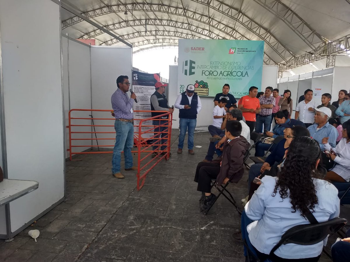 ManoloMejiamvz's tweet photo. Con éxito Finalizó el 2do Foro Estatal de Extensionismo en Hidalgo, pero el trabajo y enseñanza a los productores nunca se termina. #ExtensionismoHidalgo #SubSria_DesarrolloRural #CadenaOvinosHidalgo https://t.co/jkXGgx3N6g