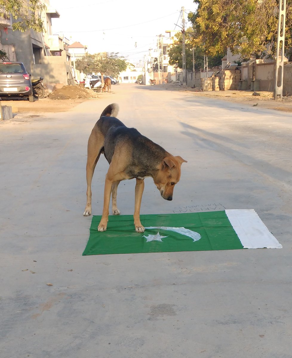 Deepakdkarelia's tweet image. देश का दुश्मन कैसा हो? ________ 
बाकि तो आप समझदार है!

#ModiForPM 
#ModiForPM2019 
#ModiNATION 
#Moditva 
#Modism 
#ModiForBharat 
#OnlyModi 
#NoToNOTA 
#NoNOTA_VoteBJP
#PhirEkBaarModiSarkar