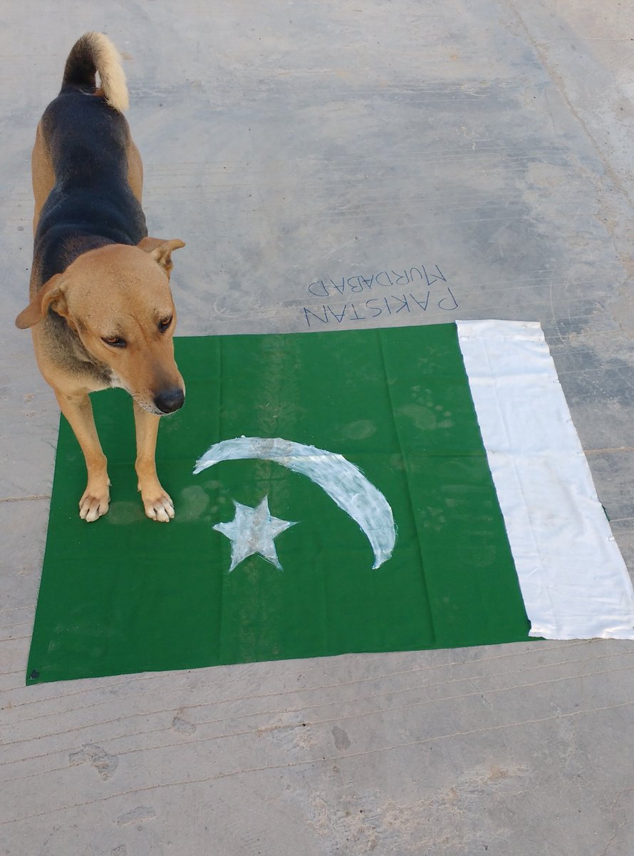 Deepakdkarelia's tweet image. देश का दुश्मन कैसा हो? ________ 
बाकि तो आप समझदार है!

#ModiForPM 
#ModiForPM2019 
#ModiNATION 
#Moditva 
#Modism 
#ModiForBharat 
#OnlyModi 
#NoToNOTA 
#NoNOTA_VoteBJP
#PhirEkBaarModiSarkar