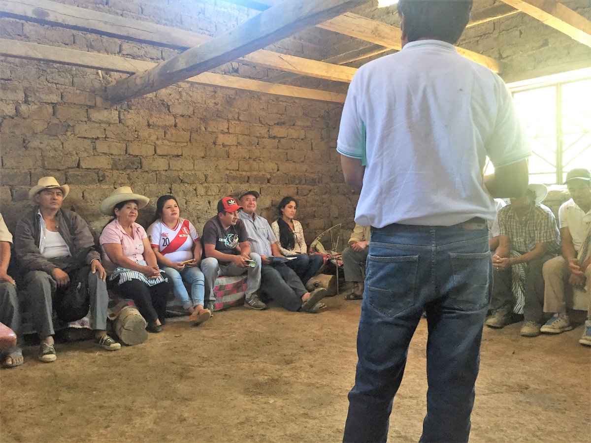 ESADEAlumni's tweet photo. 🇵🇪Voluntariado internacional en #Perú! #ESADESocial trabaja por la generación de economía productiva en países en vías de desarrollo a los que contribuyen los alumni, llamado proyecto Together al gestionarse con ESADESUD. ¡Descúbre más en la última eMagazine de #ESADEAlumni! https://t.co/Lj77bLs80G