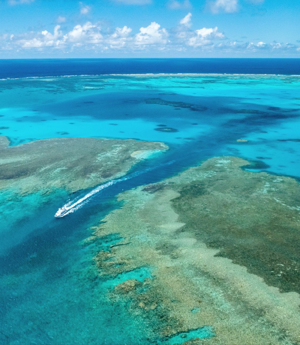 phlipvids's tweet photo. There's one channel into &amp; out of #LadyMusgraveIsland &amp; it looks amazing from above! We spent the day at #LadyMusgrave with #1770reef &amp; saw countless turtles, birds &amp; species of marine life. @Queensland @Australia #thisisqueensland #seeAustralia https://t.co/fm0adQelS0