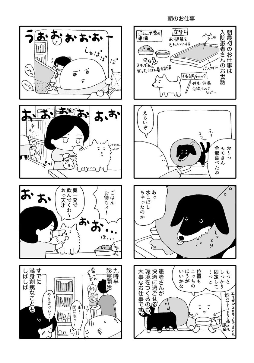 はやいもので今週の金曜日に発売なので、当日まで少しずつサンプルあげていこうとおもいます(実際は絵に重なってる部分とか、もう少し文字をみやすく調整してもらってます)動物病院で看護師として働いてたときのお話です? 