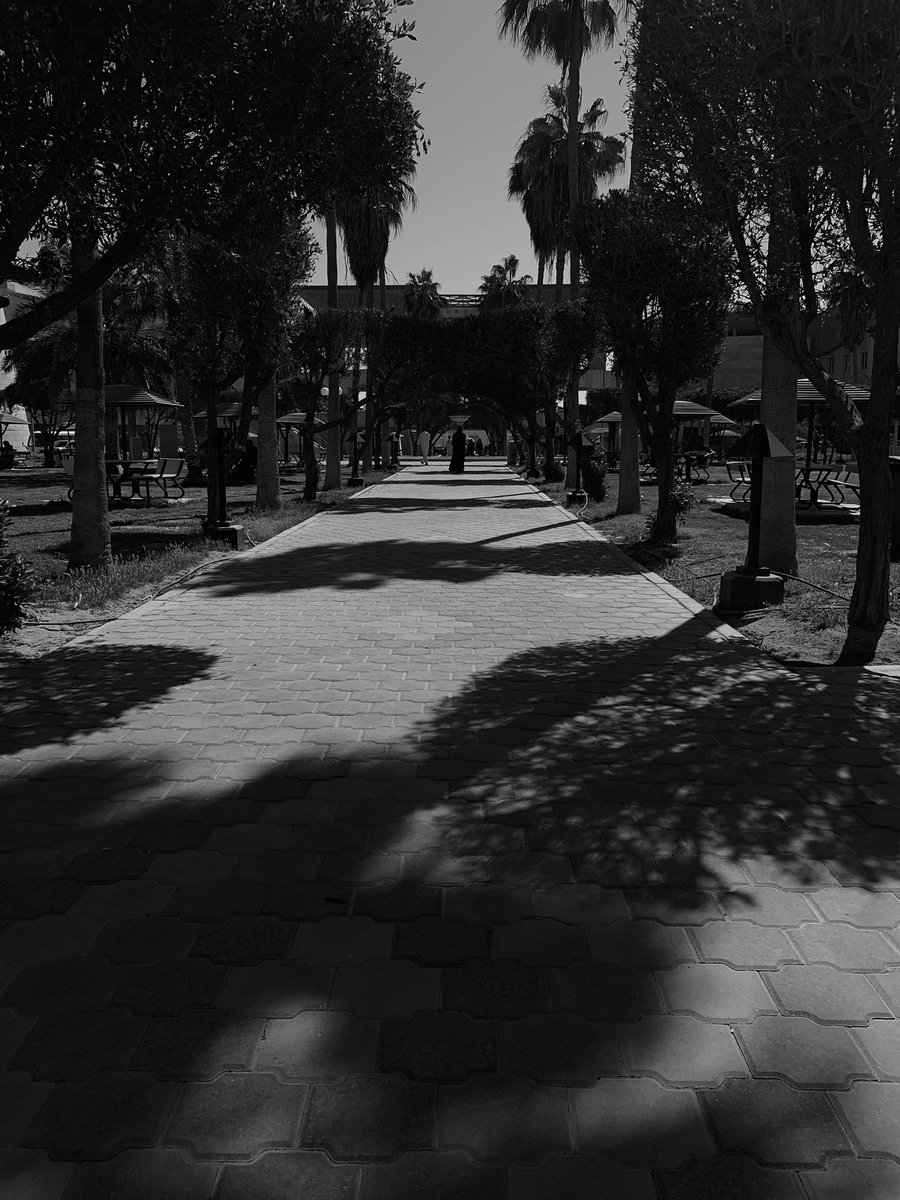 قسم دراسات المعلومات - جامعة الكويت tweet media