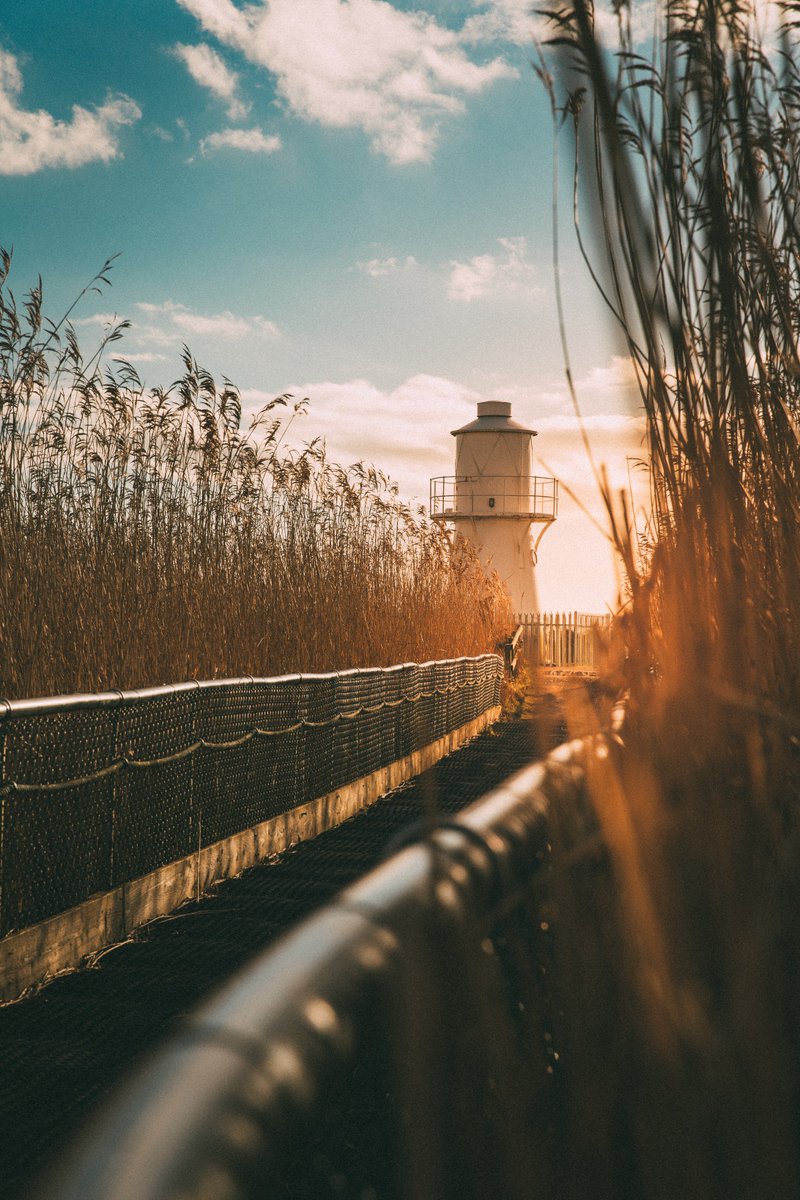 @Natures_Voice RSPB Newport Wetlands 
.
.
.
.
#visitwales #walesonline #ukpotd #unlimitedwales #thewalescollective #discovercymru 
#beautifulwales #walescoastpath #lensbible #artofvisuals #agameoftones #exploringwales #discoverwales #welshlandscape #lighthousesofwales