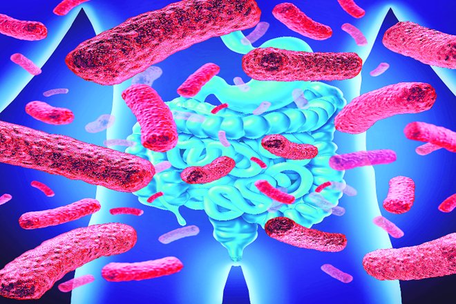 functionalgut's tweet photo. The connect between Brain and Stomach seems to have developed multifold— Read why HERE: https://t.co/MVizv5G3Di - #BrainGut #Gut #Stress #anxiety #depression #GutHealth #IBS #IBSHealth https://t.co/lvNAPYSwUt