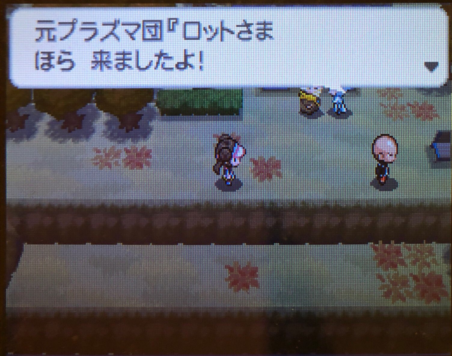 10 ホドモエジムを制覇 その2 ピクミン マリオ ドラクエ Ff ポケモン日記