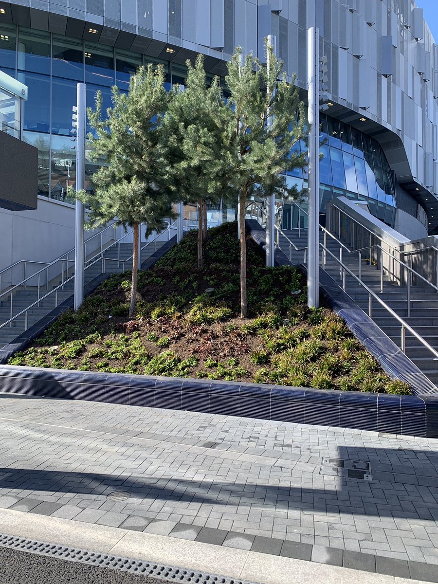 RossFromTheLane's tweet photo. Looking very clear just adding finishing touches around the ground @NewSpursStadium #whl #thfc #spurs #newspursstadium 11/03/2019 (East/North East Corner) https://t.co/rp0jMiXPjD