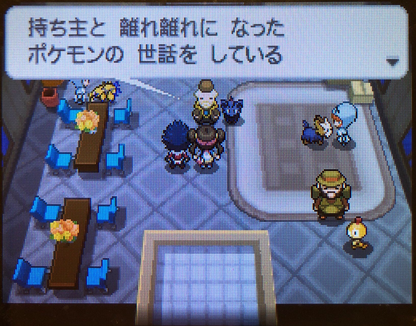 10 ホドモエジムを制覇 その2 ピクミン マリオ ドラクエ Ff ポケモン日記