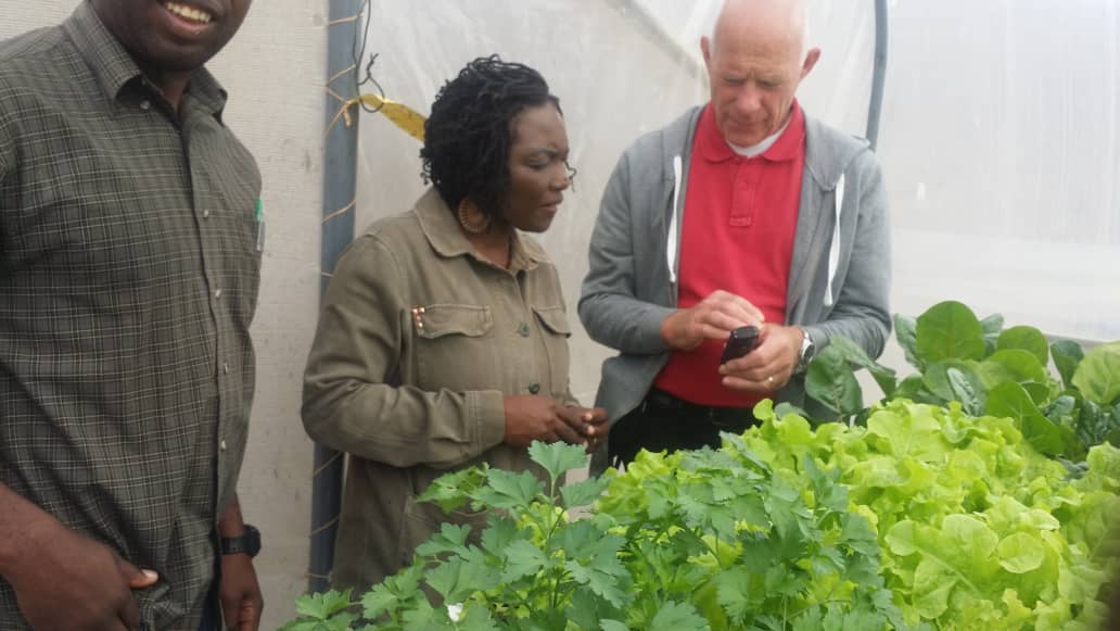 Women In Agriculture Zimbabwe tweet media