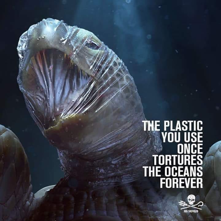 music_thebridge's tweet image. The plastic you use once, tortures the ocean forever. We must stop #PlasticPollution.

#plasticfree #BeatPlasticPollution #MondayMotivation